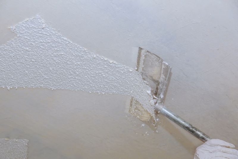 Textured Ceiling Removal