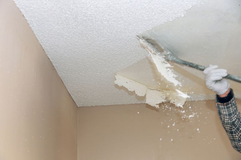 Textured Ceiling Removal