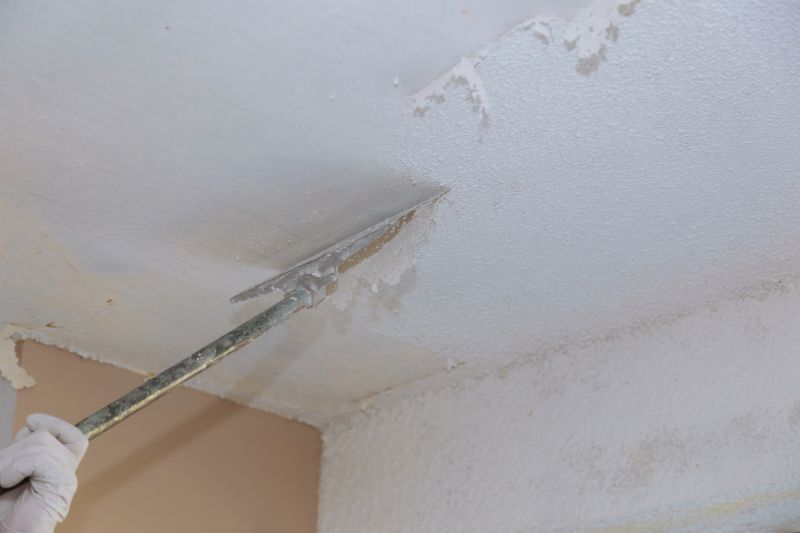 Ceiling Removal in Spring