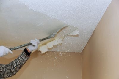 Summer Ceiling Removal
